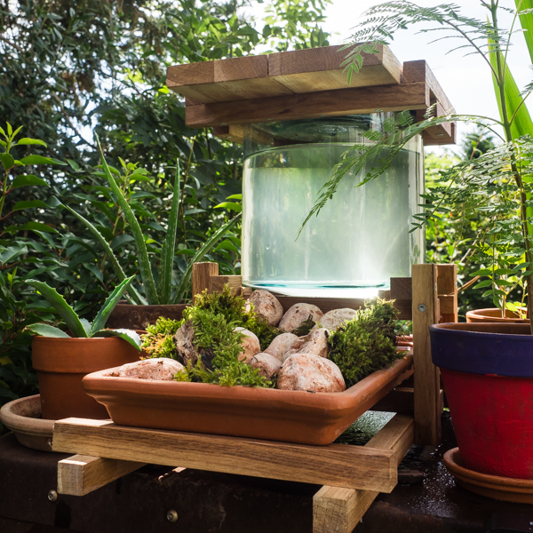 Bienentränke für Garten und Balkon