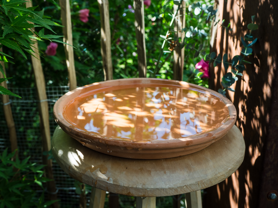 Offene Wasserschale wird von Bienen gemieden
