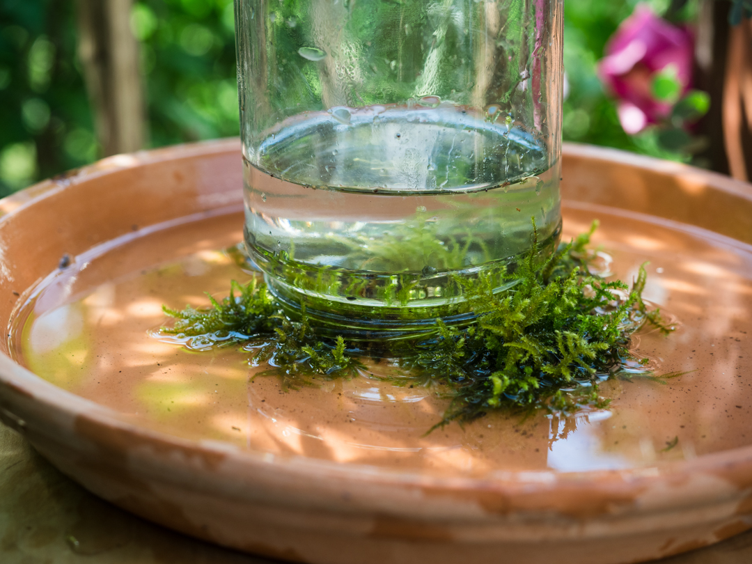 Umgekehrt aufgestelltes Glas nutzt den Unterdruck
