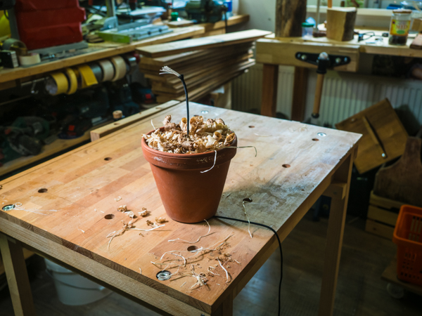 Topf mit naturbelassener Holzwolle füllen