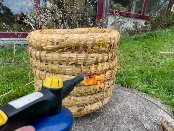 Lose Halme mit dem Brenner entfernen